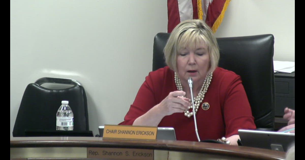 Hearing clip: SC: Charter Schools Are a Public Choice, Held to Testing and Accountability